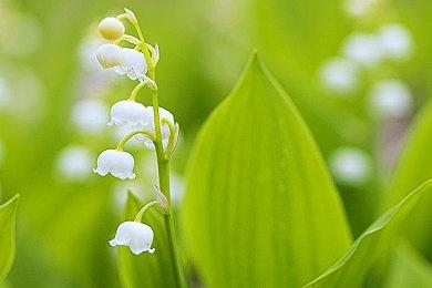 《如龙》系列制作人解释为何不登陆Switch